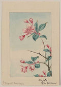 vintage japan japanese woodblock 01216v A4 Photo Print