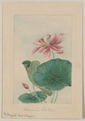 vintage japan japanese woodblock 01219v A4 Photo Print