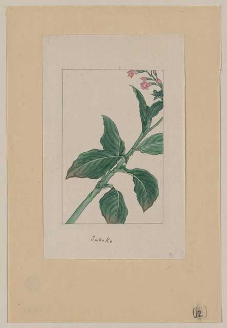 vintage japan japanese woodblock 01241v A4 Photo Print