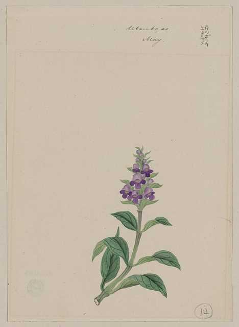 vintage japan japanese woodblock 01247v A4 Photo Print