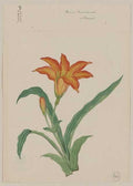 vintage japan japanese woodblock 01249v A4 Photo Print