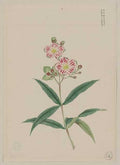 vintage japan japanese woodblock 01252v A4 Photo Print