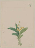 vintage japan japanese woodblock 01253v A4 Photo Print