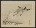 vintage japan japanese woodblock 01493v A4 Photo Print
