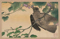 vintage japan japanese woodblock 01809v A4 Photo Print