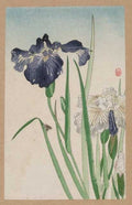 vintage japan japanese woodblock 01827v A4 Photo Print