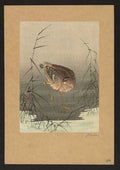 vintage japan japanese woodblock 01830v A4 Photo Print