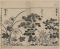 vintage japan japanese woodblock 02414v A4 Photo Print