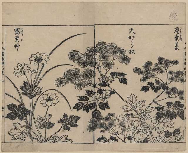 vintage japan japanese woodblock 02414v A4 Photo Print