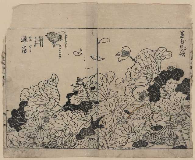 vintage japan japanese woodblock 02415v A4 Photo Print