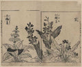 vintage japan japanese woodblock 02416v A4 Photo Print