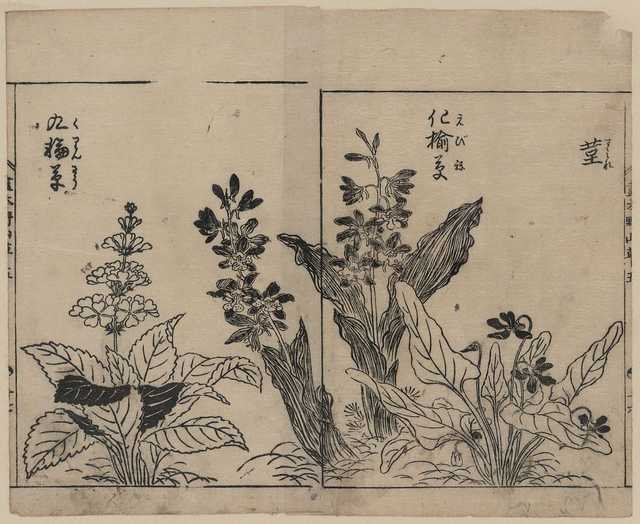 vintage japan japanese woodblock 02416v A4 Photo Print