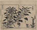 vintage japan japanese woodblock 02417v A4 Photo Print