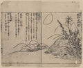 vintage japan japanese woodblock 02431v A4 Photo Print