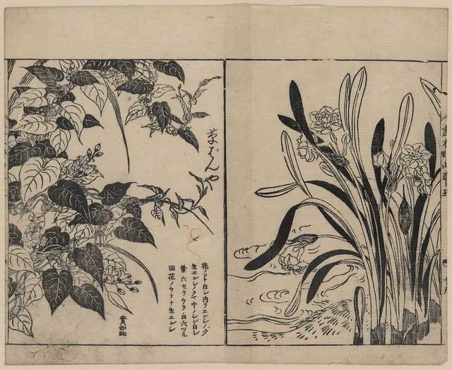 vintage japan japanese woodblock 02434v A4 Photo Print
