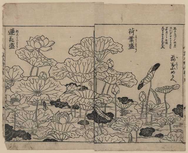 vintage japan japanese woodblock 02435v A4 Photo Print