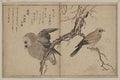 vintage japan japanese woodblock 02507v A4 Photo Print
