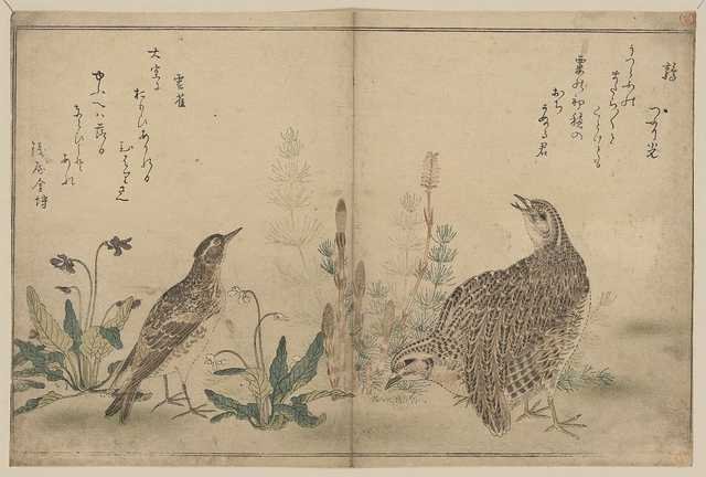 vintage japan japanese woodblock 02509v A4 Photo Print