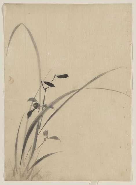 vintage japan japanese woodblock 02806v A4 Photo Print
