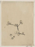 vintage japan japanese woodblock 02821v A4 Photo Print