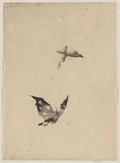 vintage japan japanese woodblock 02834v A4 Photo Print