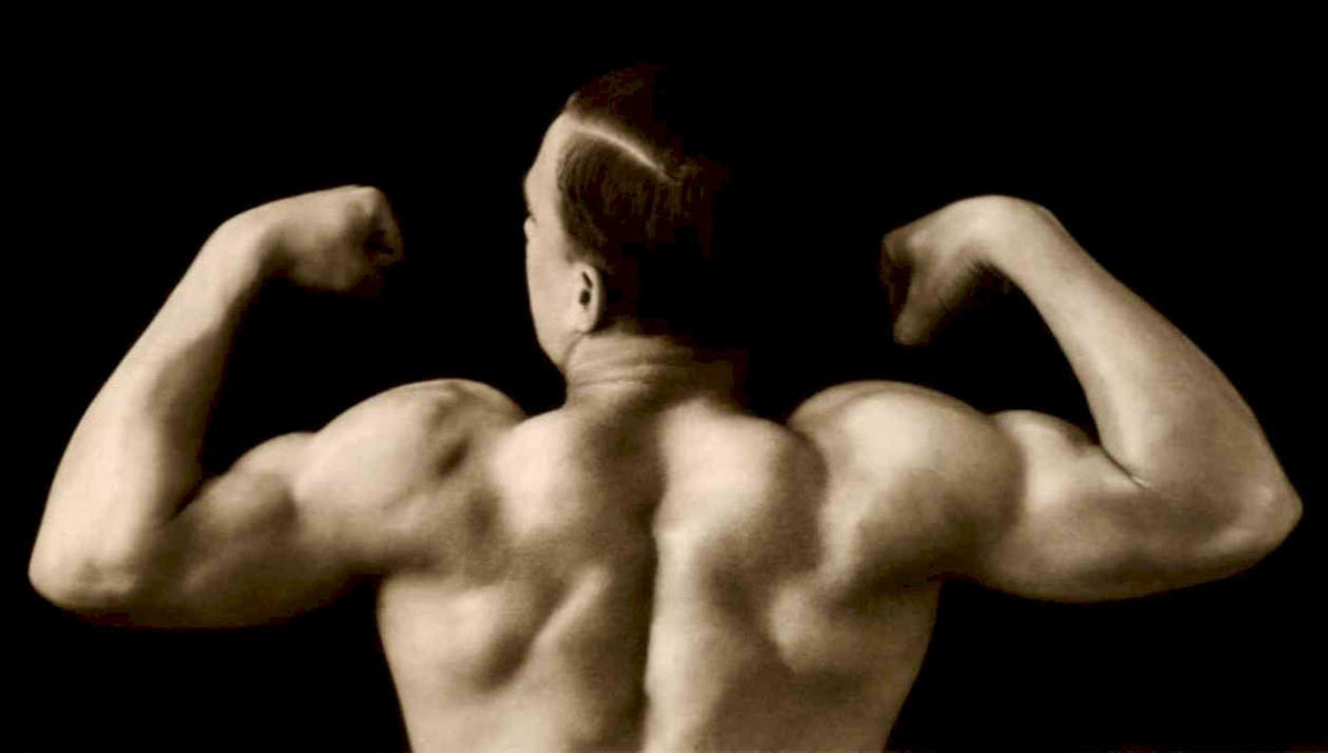 vintage muscular flexVintage 20th Century 1900s A4 Photo Print