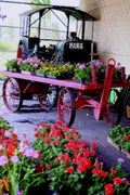 vintage tractor flowers1980s 1990s A4 Photo Print