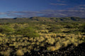 volcanic grass lava 1980s 1990s A4 Photo Print