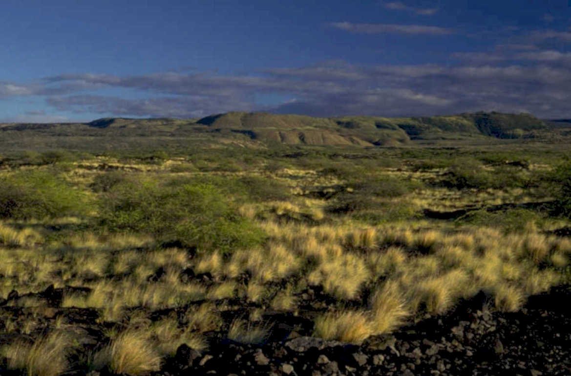 volcanic grass lava 1980s 1990s A4 Photo Print
