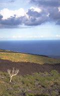 volcanic hills coast 1980s 1990s A4 Photo Print