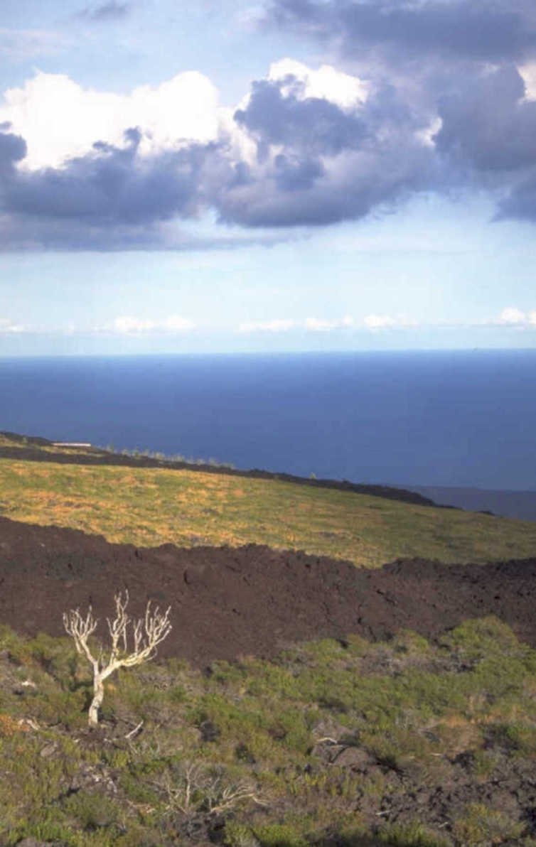 volcanic hills coast 1980s 1990s A4 Photo Print