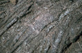 volcanic rock fractures Vintage A4 Photo Print