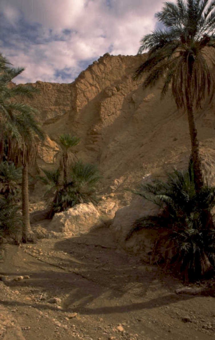 wadi rum sandstone 1980s 1990s A4 Photo Print