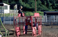 wagon children montana Vintage A4 Photo Print