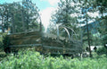 wagon stage woods Vintage A4 Photo Print
