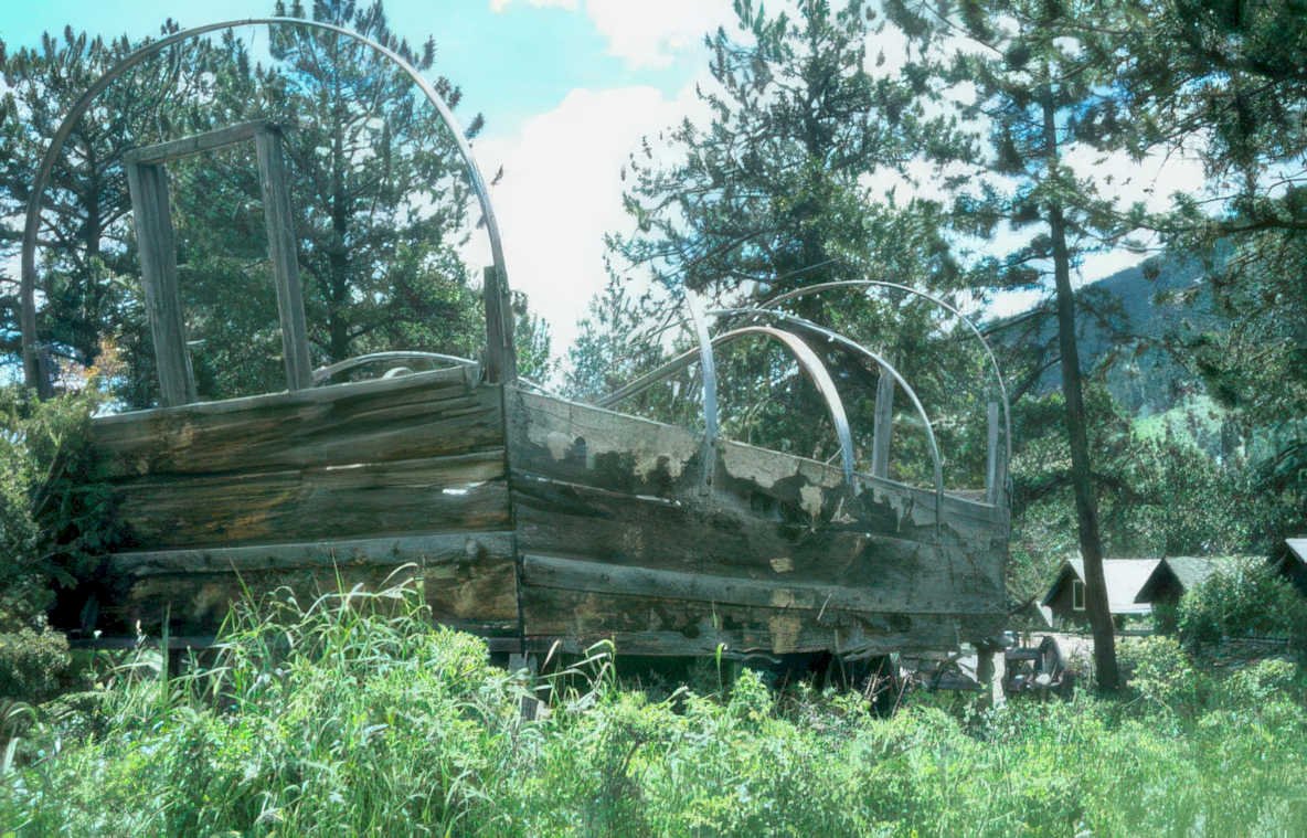 wagon stage woods Vintage A4 Photo Print