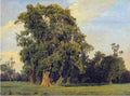 wald Great Prater Landscape Art A4 Photo Print