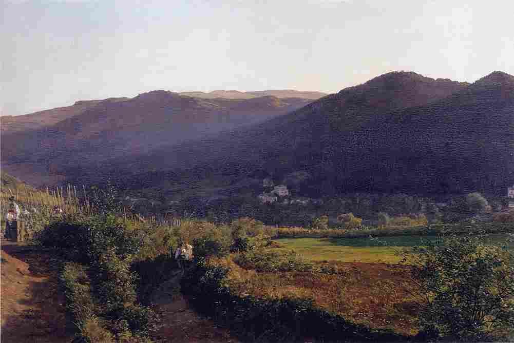 wald Landscape with Vineyard Art A4 Photo Print