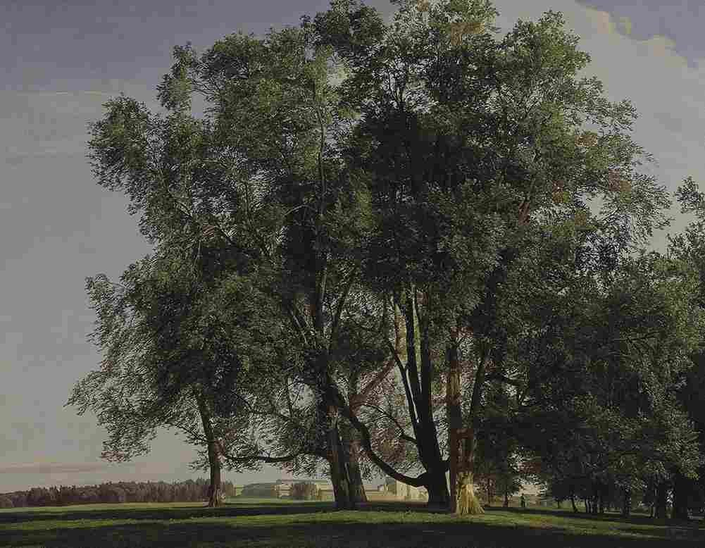 wald Prater Landscape Art A4 Photo Print