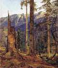 wald The Hollengebirge at Ischl Art A4 Photo Print