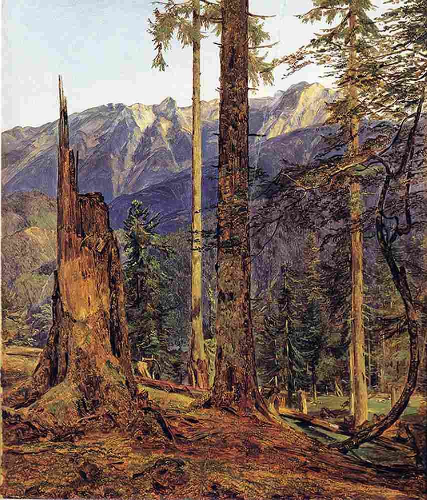 wald The Hollengebirge at Ischl Art A4 Photo Print