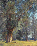 wald Trees in the Prater Art A4 Photo Print