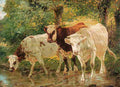 walk Cows Art A4 Photo Print