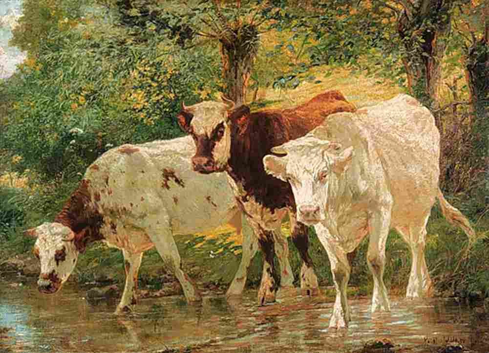 walk Cows Art A4 Photo Print