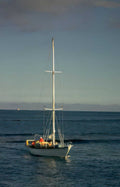 wanderlust sailing yacht Vintage A4 Photo Print