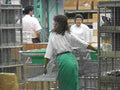 warehouse sorting carts1980s 1990s A4 Photo Print