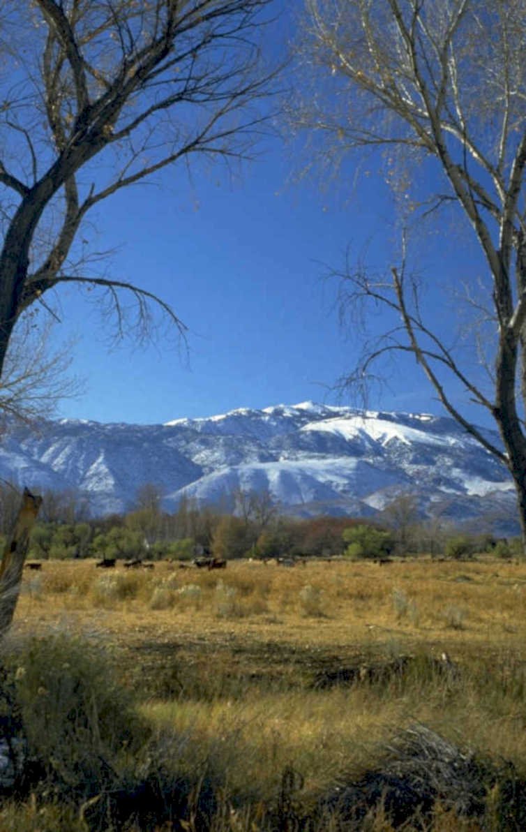 wasatch mountains 2003 1980s 1990s A4 Photo Print
