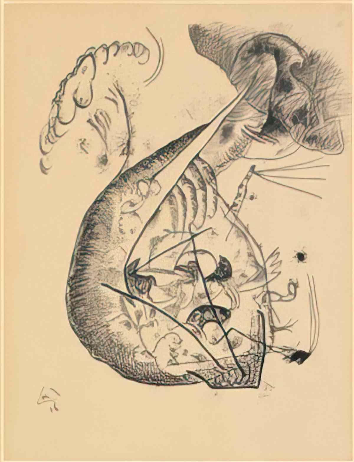 wassily kandinsky wassily kandinsky dessin pour gravure no v debut 19 Art A4 Photo Print