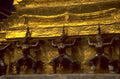 wat arun temple 1980s 1990s A4 Photo Print