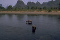 water buffalo river 1980s 1990s A4 Photo Print